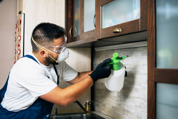 Best Bed Bug Extermination  in Chatsworth, GA
