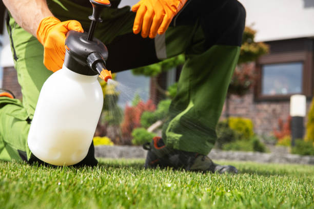 Best Flea Control Services  in Chatsworth, GA
