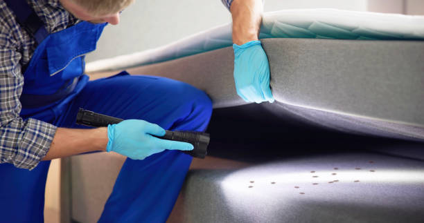 Best Cockroach Control Services  in Chatsworth, GA