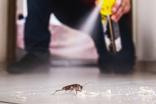 Wildlife Control Services in Chatsworth, GA