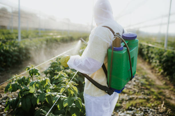 Professional Pest Control in Chatsworth, GA